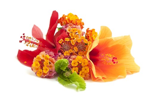 Professional delivery personnel handling fresh flower bouquets